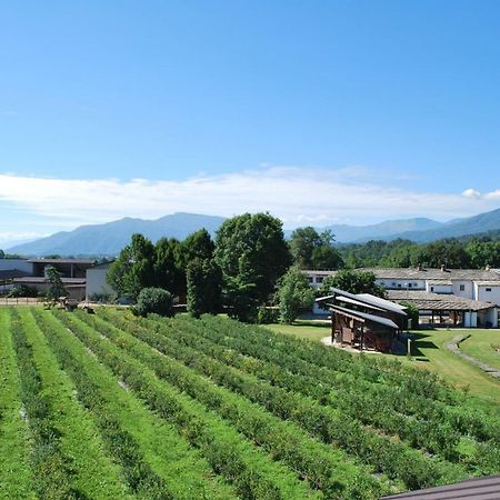 Agriturismo Il Frutto Permesso Bibiana ภายนอก รูปภาพ