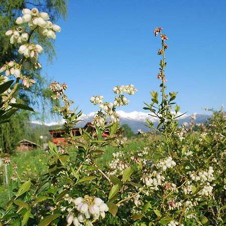 Agriturismo Il Frutto Permesso Bibiana ภายนอก รูปภาพ