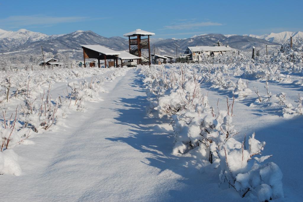 Agriturismo Il Frutto Permesso Bibiana ภายนอก รูปภาพ