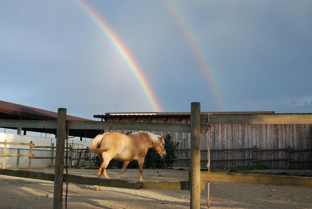 Agriturismo Il Frutto Permesso Bibiana ภายนอก รูปภาพ