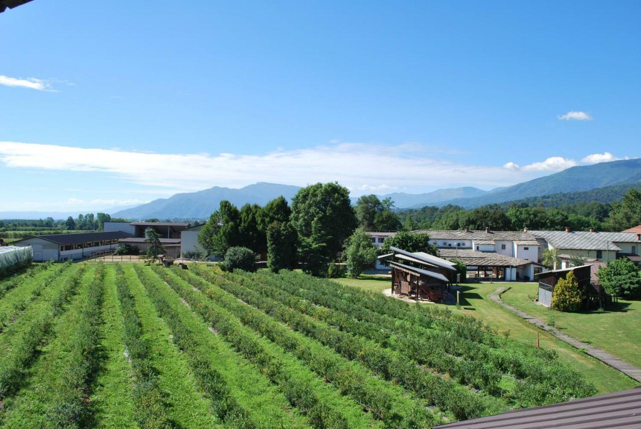 Agriturismo Il Frutto Permesso Bibiana ภายนอก รูปภาพ