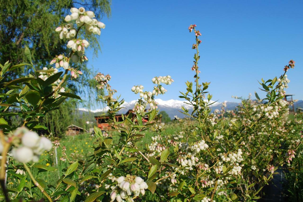 Agriturismo Il Frutto Permesso Bibiana ภายนอก รูปภาพ
